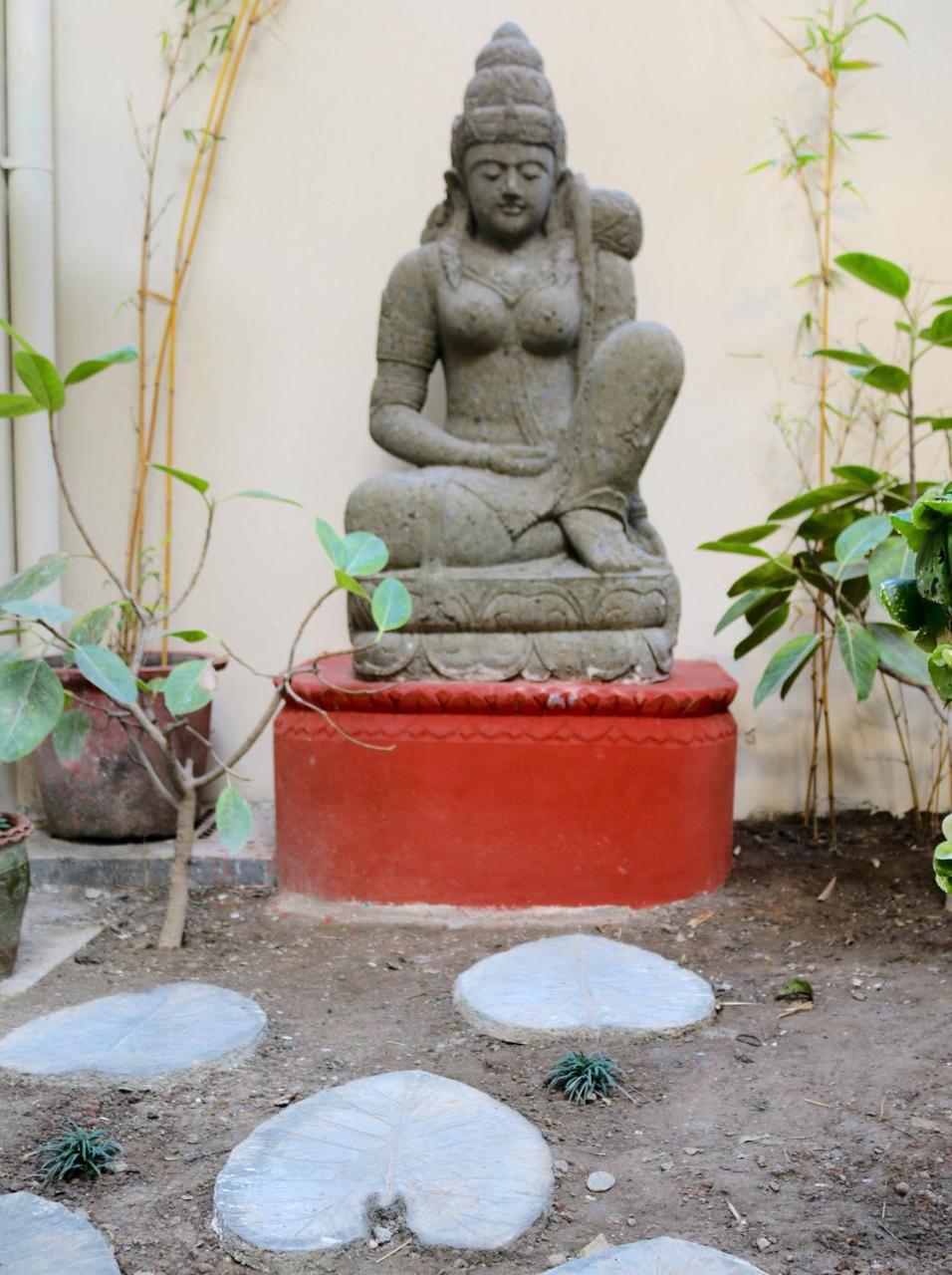 Mango Tree Courtyard Dehradun Ξενοδοχείο Εξωτερικό φωτογραφία